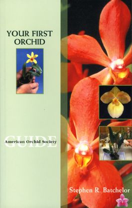 Picture of Your First Orchid