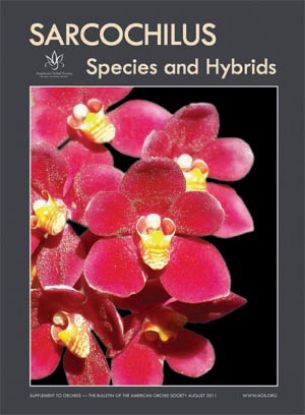 Picture of 2011/08 Sarcochilus Species and Hybrids