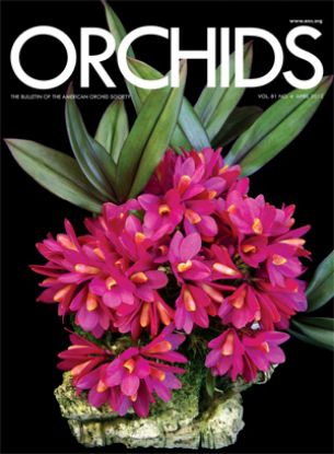 Picture of 2012/04 April ORCHIDS Magazine