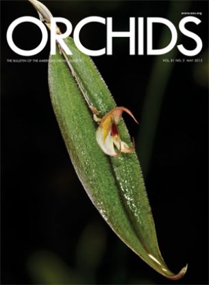 Picture of 2012/05 May ORCHIDS Magazine