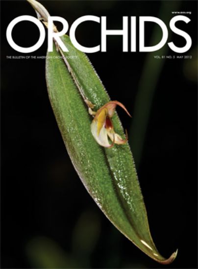 Picture of 2012/05 May ORCHIDS Magazine