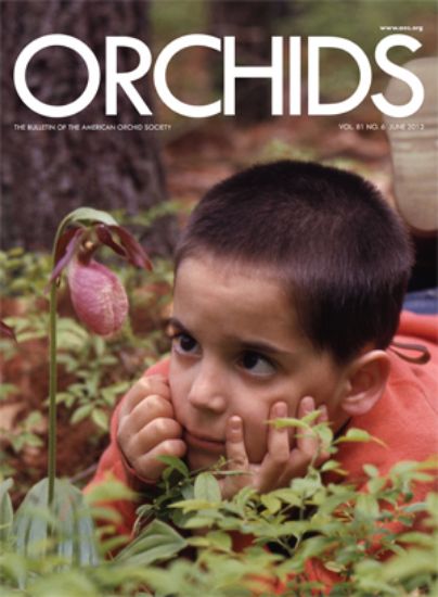 Picture of 2012/06 June ORCHIDS Magazine