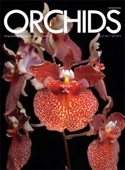 Picture of 2012/07 July ORCHIDS Magazine
