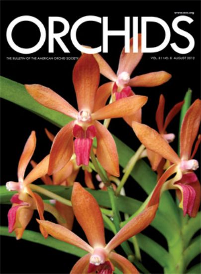 Picture of 2012/08 August ORCHIDS Magazine