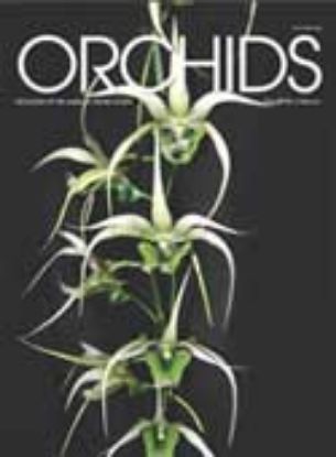 Picture of 2016/02 February ORCHIDS Magazine