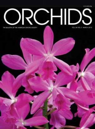 Picture of 2015/03 March ORCHIDS Magazine