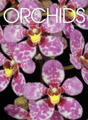 Picture of 2015/05 May ORCHIDS Magazine