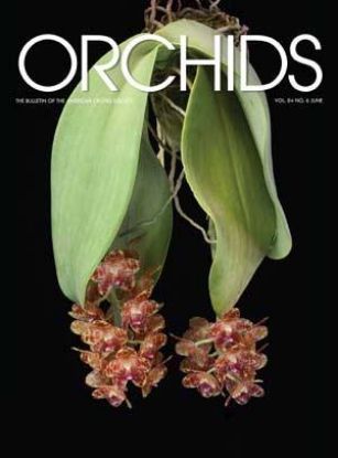 Picture of 2015/06 June ORCHIDS Magazine