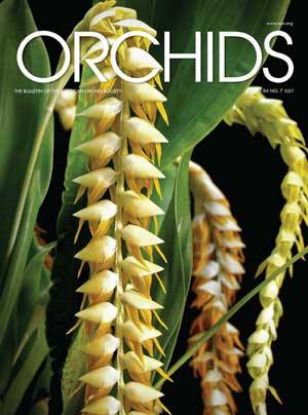 Picture of 2015/07 July ORCHIDS Magazine
