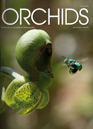 Picture of 2015/08 August ORCHIDS Magazine