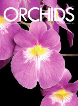 Picture of 2014/02 February ORCHIDS Magazine