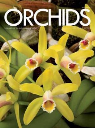 Picture of 2014/05 May ORCHIDS Magazine