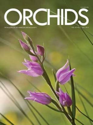 Picture of 2014/07 July ORCHIDS Magazine