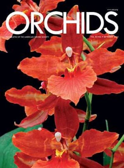 Picture of 2014/09 September ORCHIDS Magazine