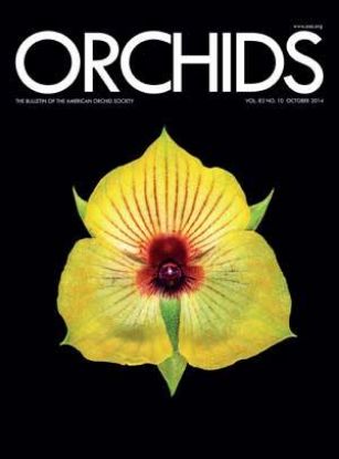 Picture of 2014/10 October ORCHIDS Magazine