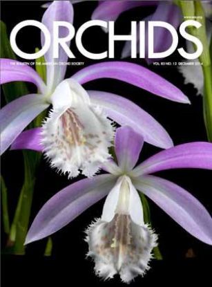 Picture of 2014/12 December ORCHIDS Magazine