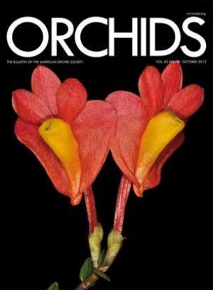 Picture of 2013/10 October ORCHIDS Magazine