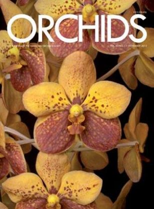 Picture of 2013/11 November ORCHIDS Magazine