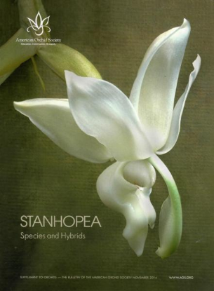 Picture of 2014/11 Stanhopea Species and Hybrids