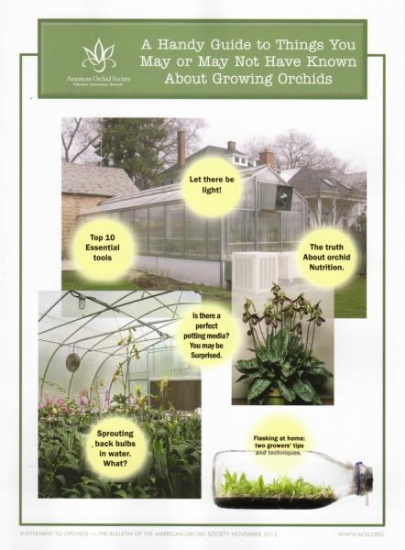 Picture of 2015/11 A Handy Guide to Things You May or May Not Have Known About Growing Orchids Supplement