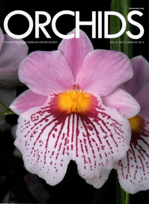 Picture of 2012/02 February ORCHIDS Magazine