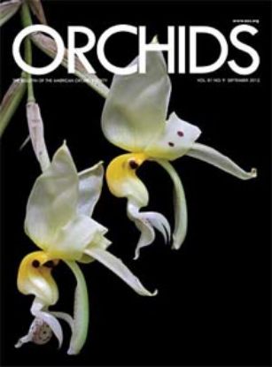 Picture of 2012/09 September ORCHIDS Magazine