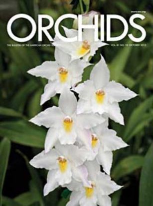 Picture of 2012/10 October ORCHIDS Magazine