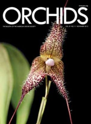 Picture of 2012/11 November ORCHIDS Magazine