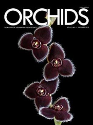Picture of 2012/12 December ORCHIDS Magazine