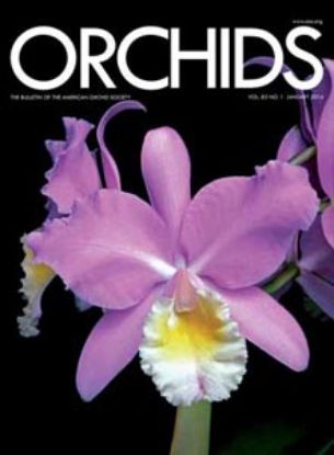 Picture of 2014/01 January ORCHIDS Magazine