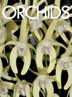Picture of 2014/03 March ORCHIDS Magazine