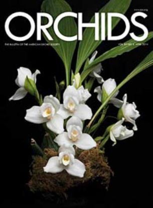 Picture of 2014/04 April ORCHIDS Magazine