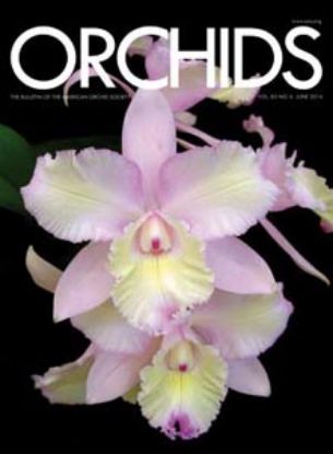 Picture of 2014/06 June ORCHIDS Magazine