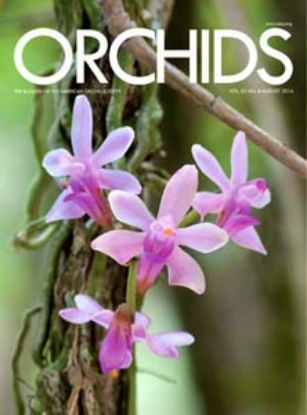 Picture of 2014/08 August ORCHIDS Magazine