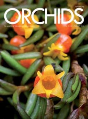 Picture of 2013/02 February ORCHIDS Magazine