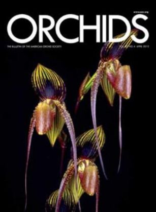 Picture of 2013/04 April ORCHIDS Magazine