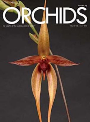 Picture of 2013/05 May ORCHIDS Magazine