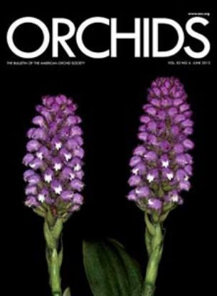 Picture of 2013/06 June ORCHIDS Magazine