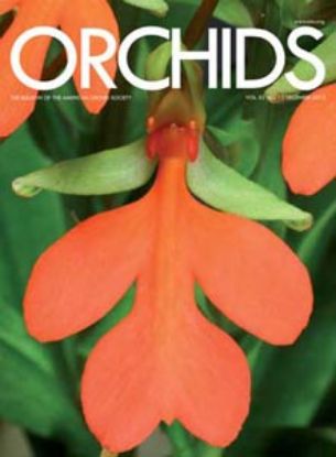 Picture of 2013/12 December ORCHIDS Magazine