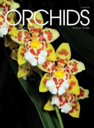 Picture of 2015/09 September ORCHIDS Magazine