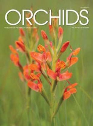 Picture of 2015/10 October ORCHIDS Magazine