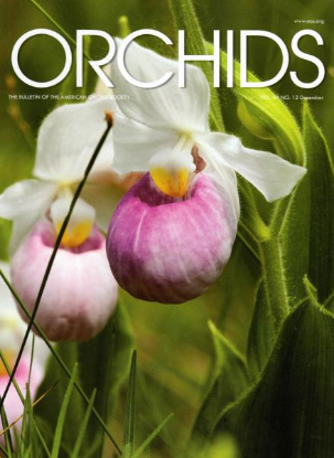 Picture of 2015/12 December ORCHIDS Magazine