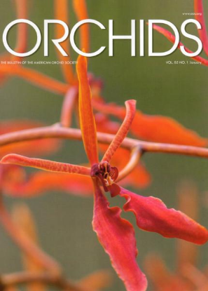 Picture of 2016/01 January ORCHIDS Magazine