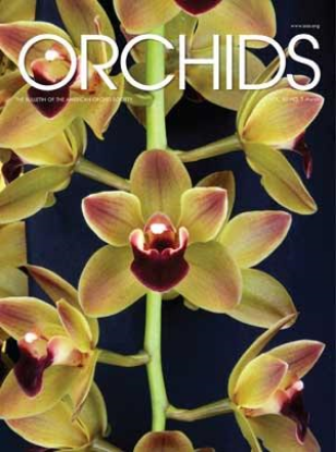 Picture of 2016/03 March ORCHIDS Magazine