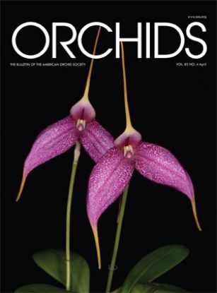 Picture of 2016/04 April ORCHIDS Magazine
