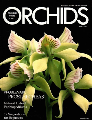 Picture of 2007/03 March ORCHIDS Magazine