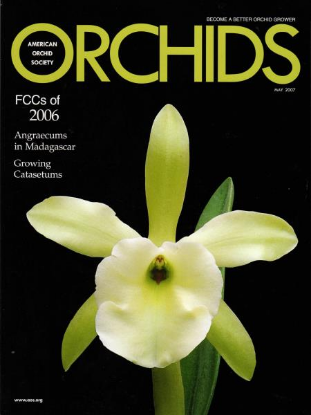 Picture of 2007/05 May ORCHIDS Magazine