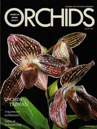 Picture of 2007/08 August ORCHIDS Magazine