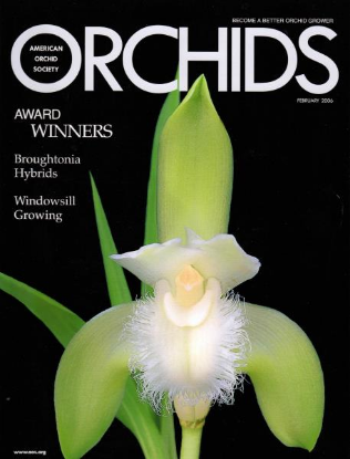 Picture of 2006/02 February ORCHIDS Magazine
