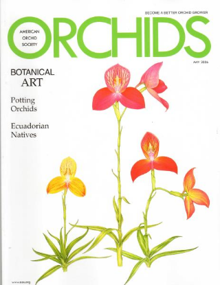 Picture of 2006/05 May ORCHIDS Magazine